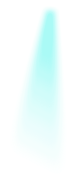 rays