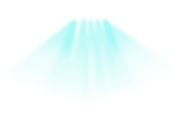rays