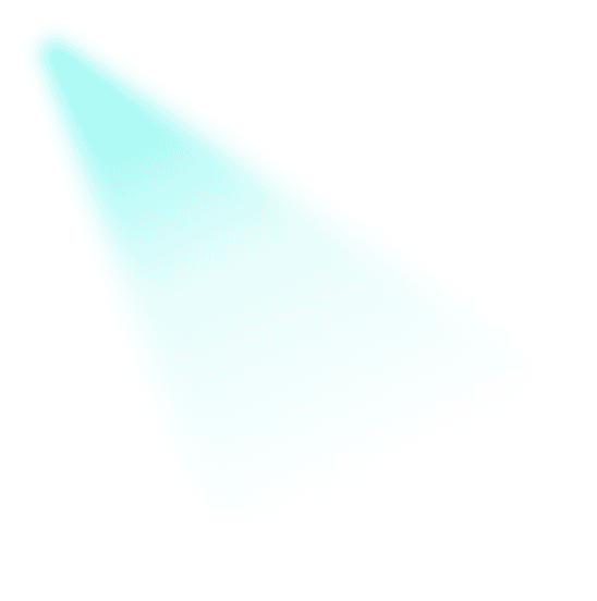 rays