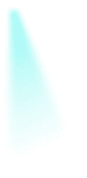 rays